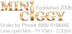miniciggy.com