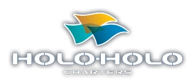 Holo Holo Promo Codes 